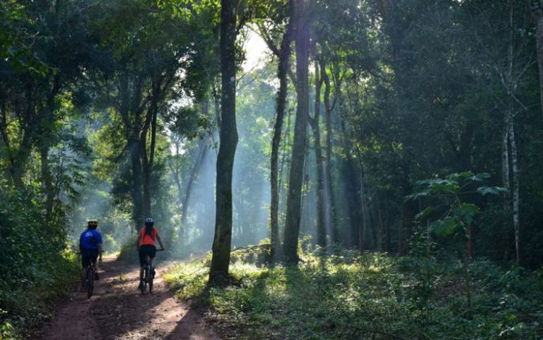 Selva Iryapú, un sitio para conectarse con las raíces | Nuevo Diario Web |  Santiago del Estero