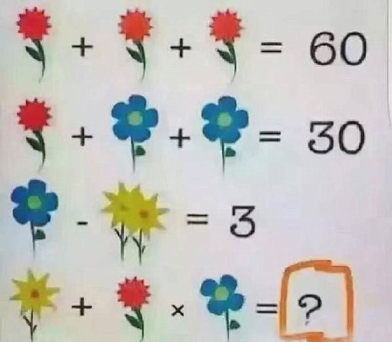 La Ecuación Matemática De Las Flores Que Desafía Y Enloquece A Internet Nuevo Diario Web 9281