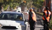 Lo detuvieron por alta velocidad y descubrieron algo peor: iba con 7 carneros en el auto